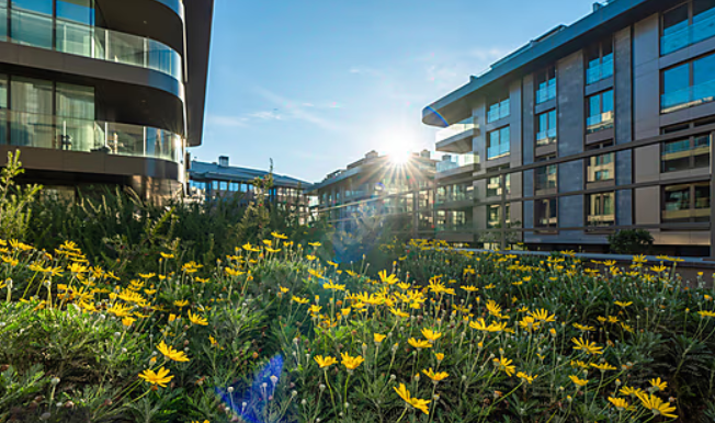 litus İstanbul ÜskÜdar